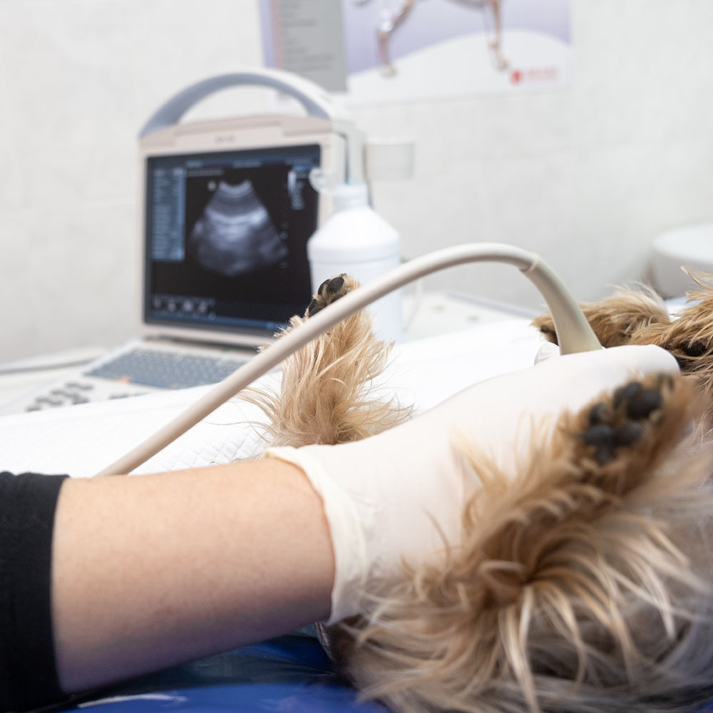 Oostermoer_behandelingen_11